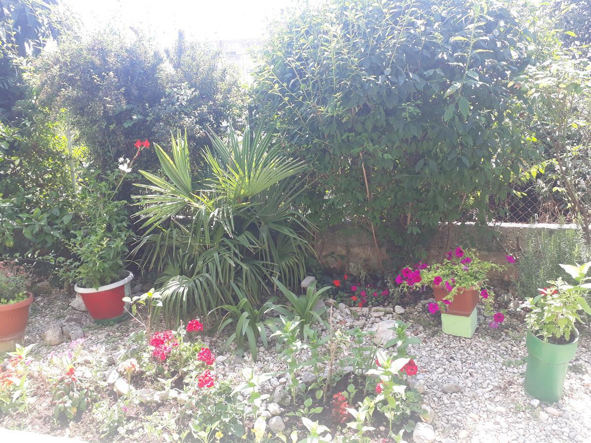 Green Hostel Zadar Ngoại thất bức ảnh