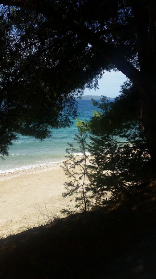 Green Hostel Zadar Ngoại thất bức ảnh