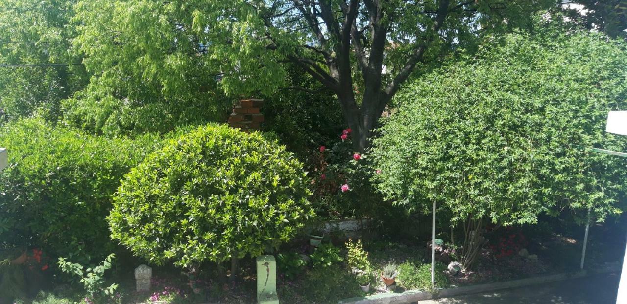 Green Hostel Zadar Ngoại thất bức ảnh