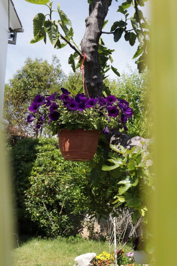 Green Hostel Zadar Ngoại thất bức ảnh