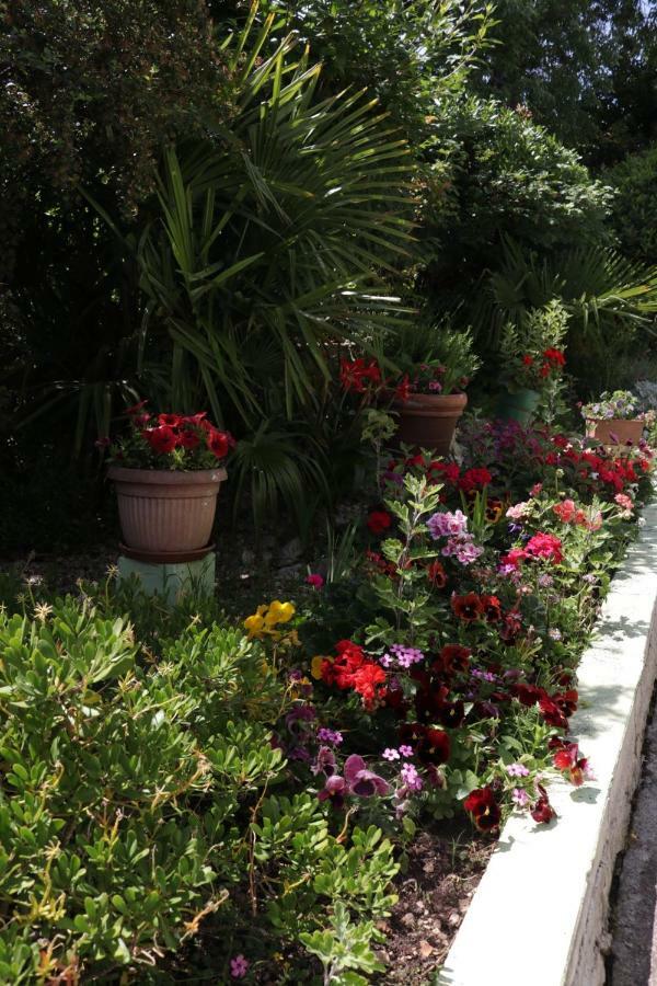 Green Hostel Zadar Ngoại thất bức ảnh